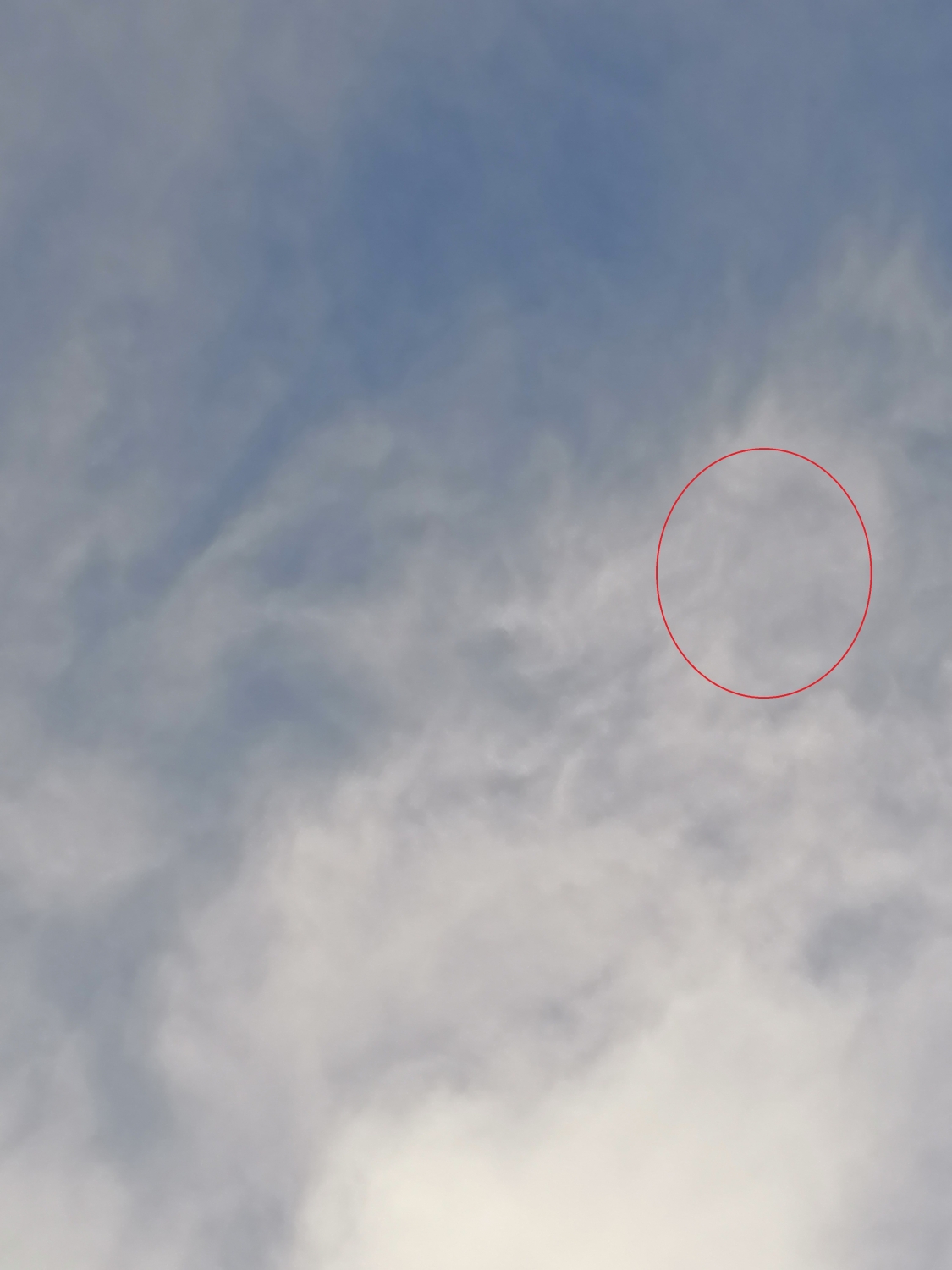 Pulsa para ver la imagen a tamaño completo
